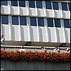 sk2001_tm_666.jpg