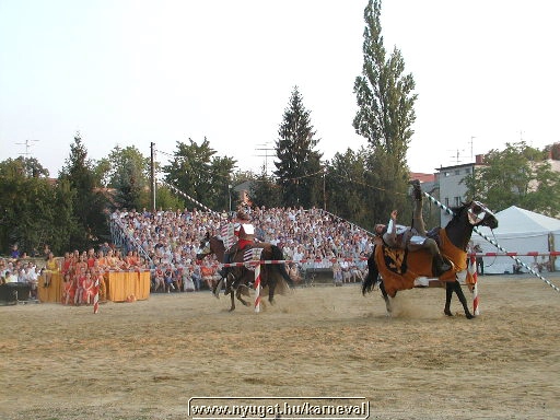 sk2001_tm_540.jpg