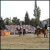 sk2001_tm_540.jpg