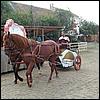 sk2001_tm_834.jpg