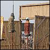 sk2001_tm_835.jpg
