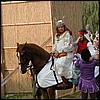 sk2001_tm_858.jpg