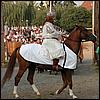 sk2001_tm_859.jpg