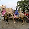 sk2001_tm_866.jpg