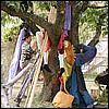 sk2001_tm_868.jpg
