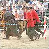 sk2001_tm_912.jpg
