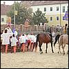 sk2001_tm_915.jpg