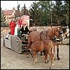 sk2001_tm_917.jpg