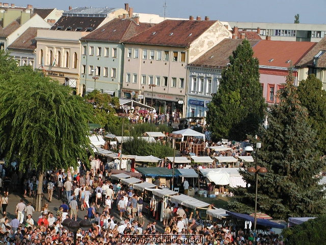 sk2001_tm_489.jpg