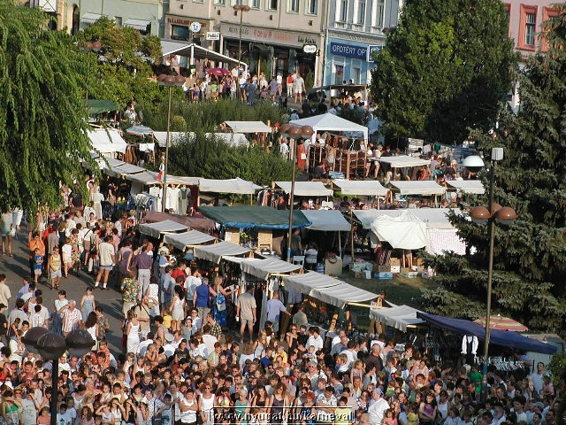 sk2001_tm_490.jpg
