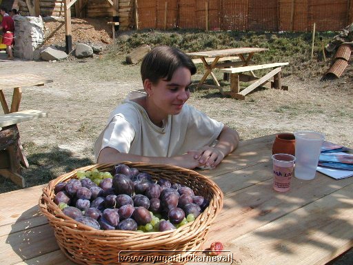 sk2001_tm_420.jpg