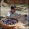 sk2001_tm_420.jpg