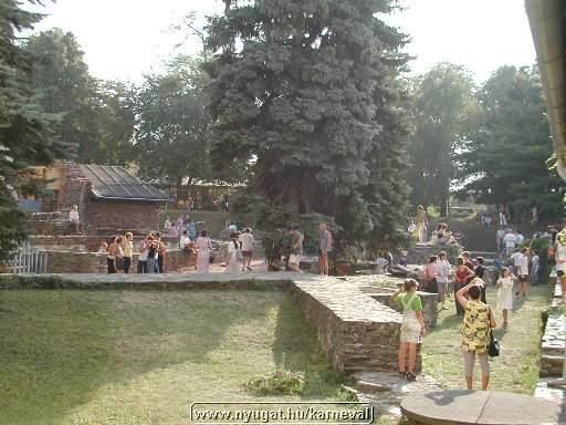 sk2001_tm_477.jpg