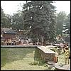 sk2001_tm_477.jpg
