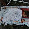 sk2001_tm_131.jpg