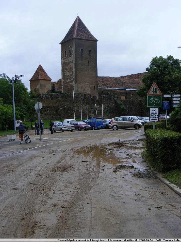 DSCF3550.jpg