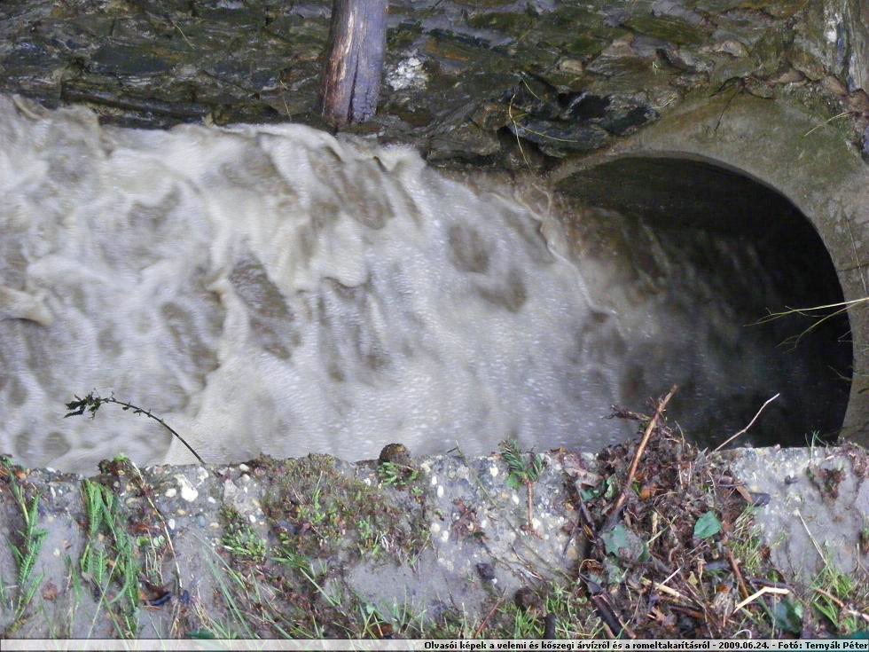 DSCF3620.JPG