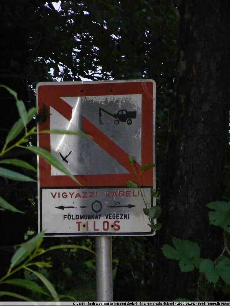 DSCF3656.jpg