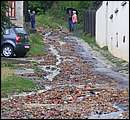 DSCF3415.jpg