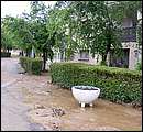 DSCF3552.jpg