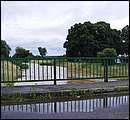 DSCF3594.JPG