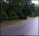 DSCF3602.JPG