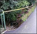 DSCF3603.JPG