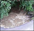 DSCF3605.JPG