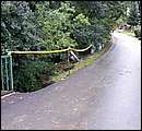 DSCF3606.JPG