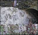 DSCF3620.JPG