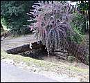 DSCF3621.JPG