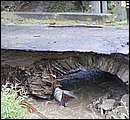 DSCF3624.JPG