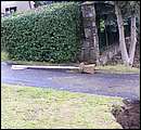 DSCF3628.JPG