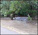 DSCF3634.JPG