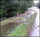 DSCF3639.jpg