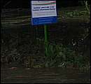 DSCF3641.jpg