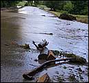 DSCF3643.jpg