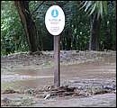 DSCF3644.jpg