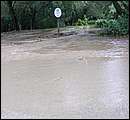 DSCF3645.jpg