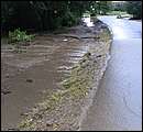 DSCF3648.JPG