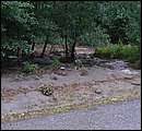 DSCF3649.JPG