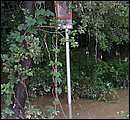 DSCF3654.jpg