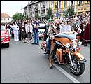 DSC_1428.JPG