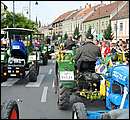 DSC_1709.JPG