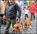 DSC_1778.JPG