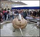 DSC_1786.JPG