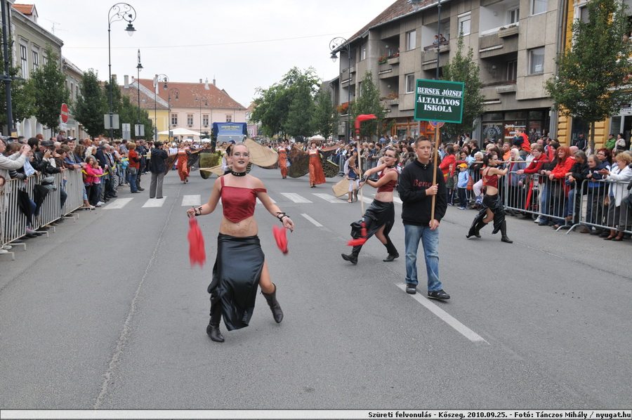 DSC_7685.JPG