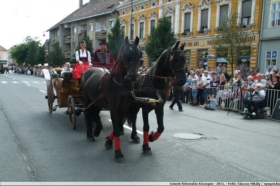 DSCF0268.JPG