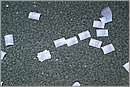 DSCF0547.JPG