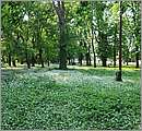 DSC_1850.JPG